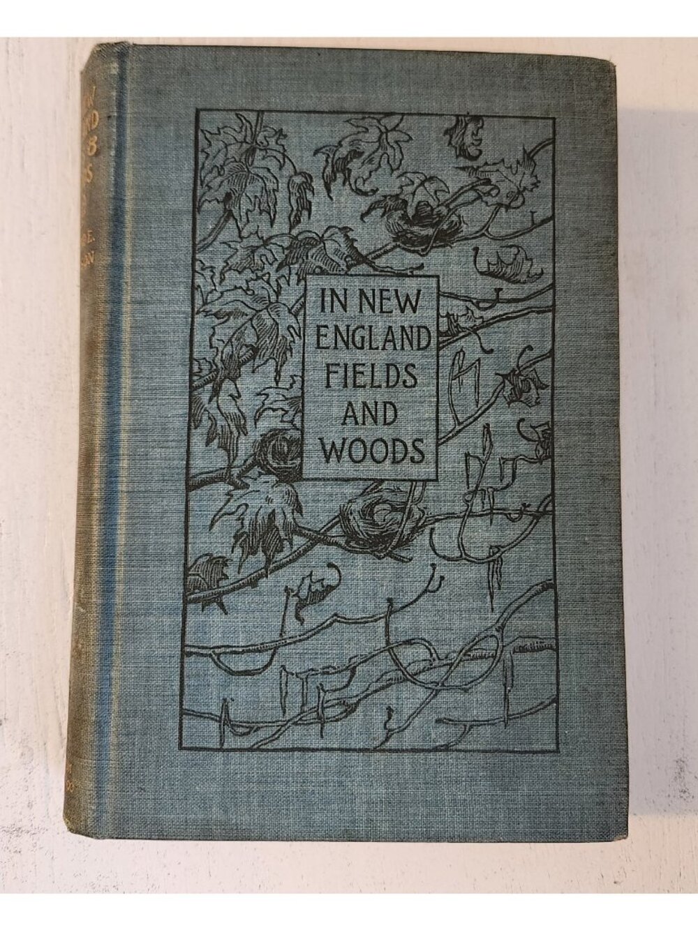 1896 1st Ed. In New England Fields and Woods Rowland Robinson Antique HC